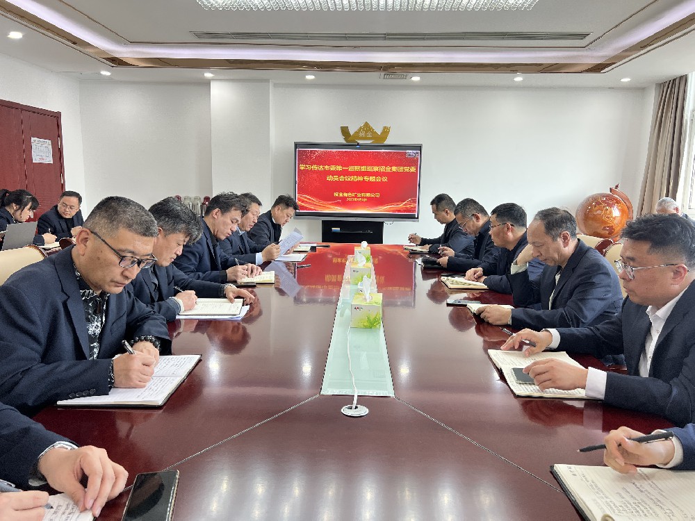 凝心聚力強化政治擔(dān)當(dāng) ——招金有色專題學(xué)習(xí)傳達市委巡察動員會議精神